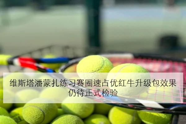 维斯塔潘蒙扎练习赛圈速占优红牛升级包效果仍待正式检验